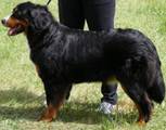 Le�r�s: Le�r�s: C:\Users\Katona R�bert Gyula\Documents\WEB Iskola\angyalosiberni\kell�kek\rebeka002.jpg